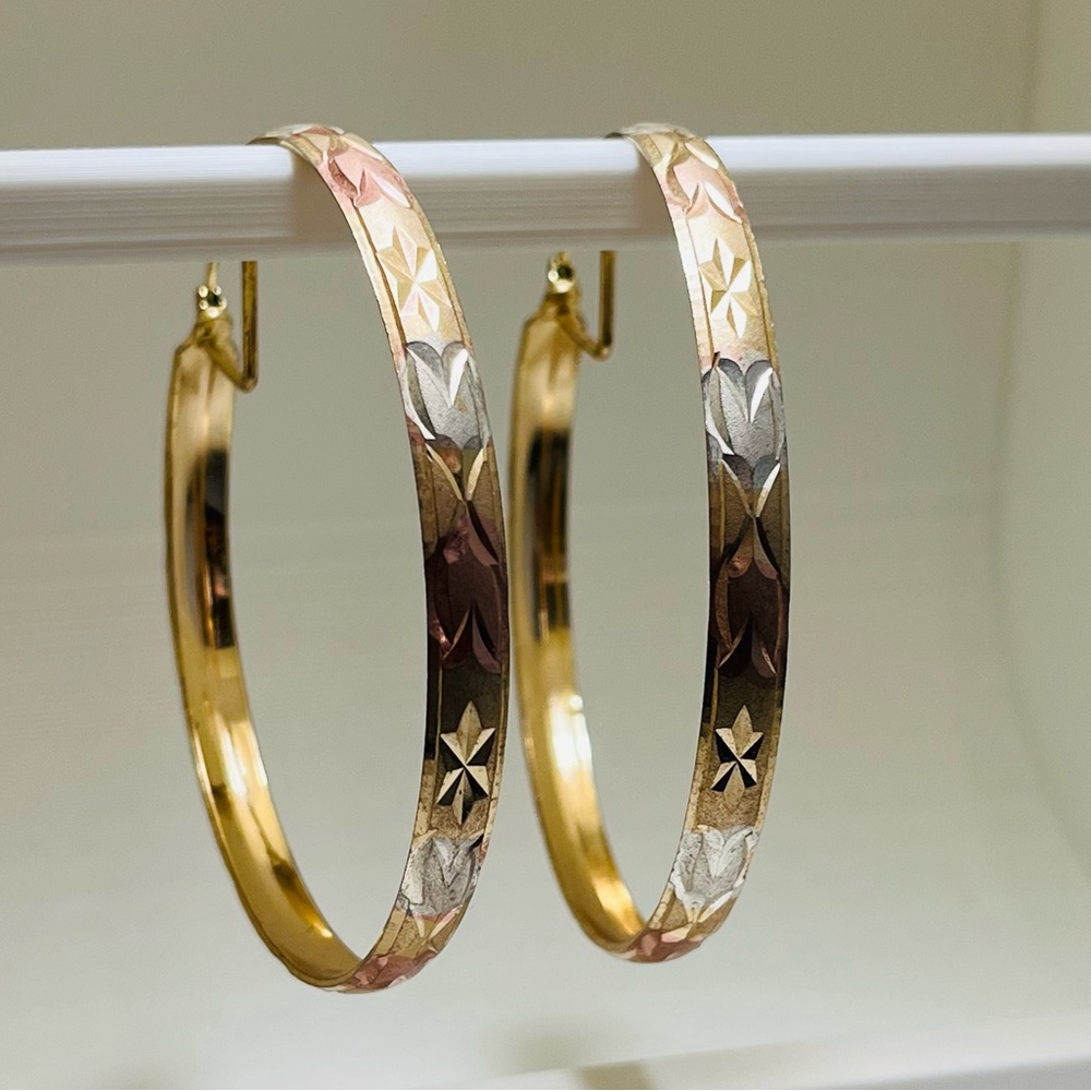 Elegant Gold and Silver Hoop Earrings